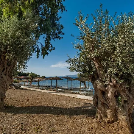 Amarynthos Resort 4*