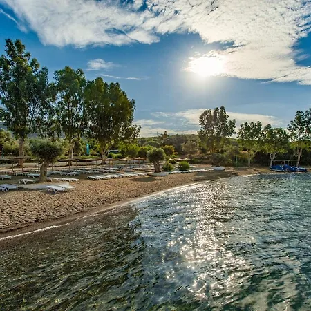 Hotel Amarynthos Resort 4*